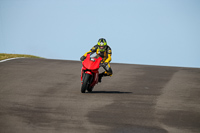 PJ-Motorsport-2019;anglesey-no-limits-trackday;anglesey-photographs;anglesey-trackday-photographs;enduro-digital-images;event-digital-images;eventdigitalimages;no-limits-trackdays;peter-wileman-photography;racing-digital-images;trac-mon;trackday-digital-images;trackday-photos;ty-croes